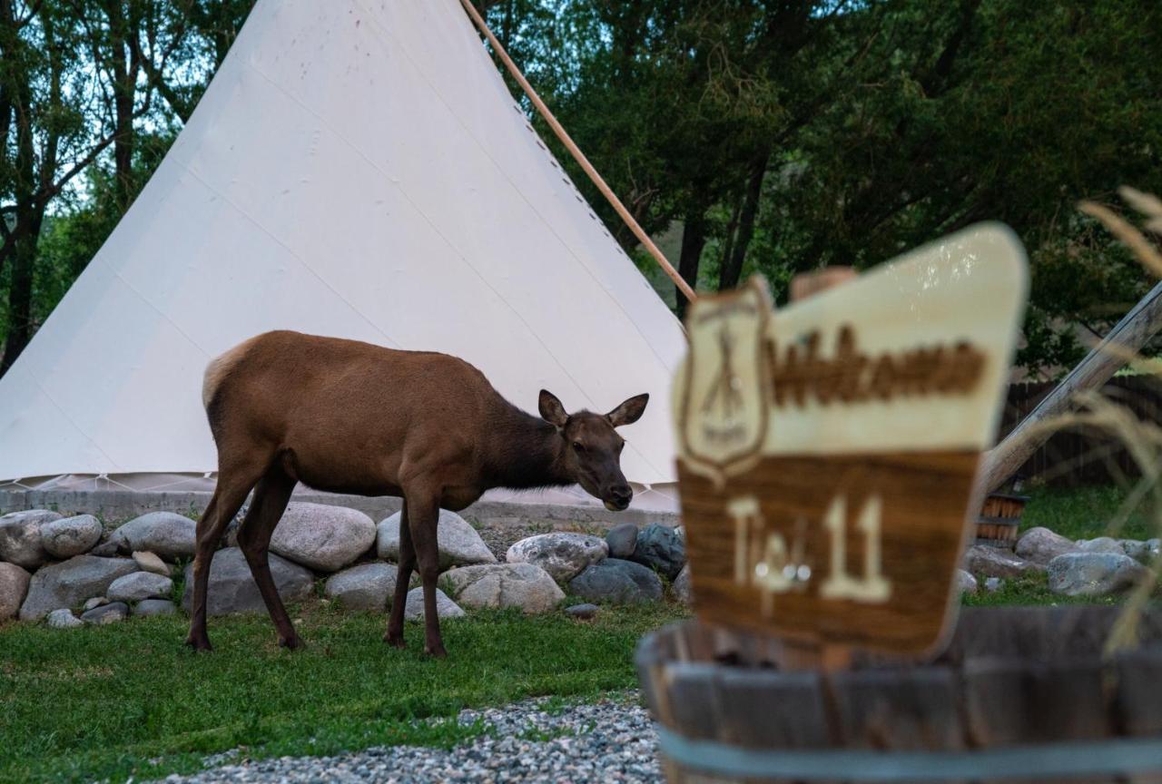 Dreamcatcher Tipi Hotel Gardiner Zewnętrze zdjęcie